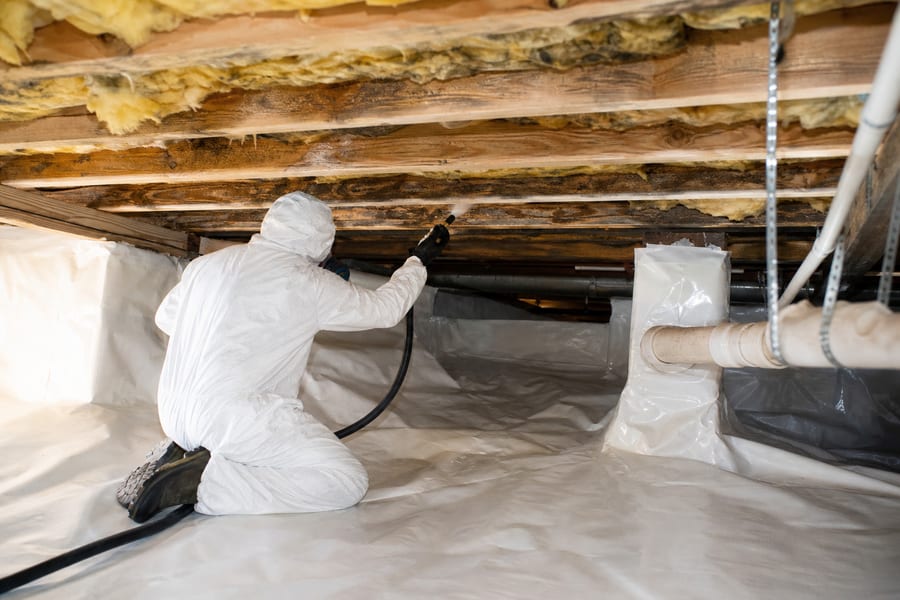 Crawl Space Mold Removal work